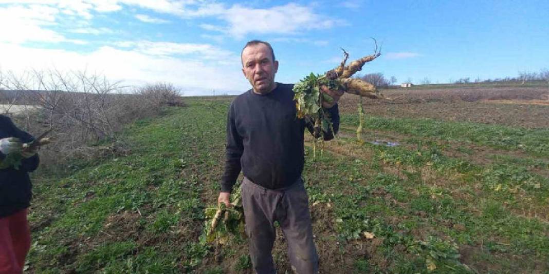 4 mevsim toprakta emek veriyorlar! Karı-koca bir mesai: Aracısız pazara ulaşıyor 3